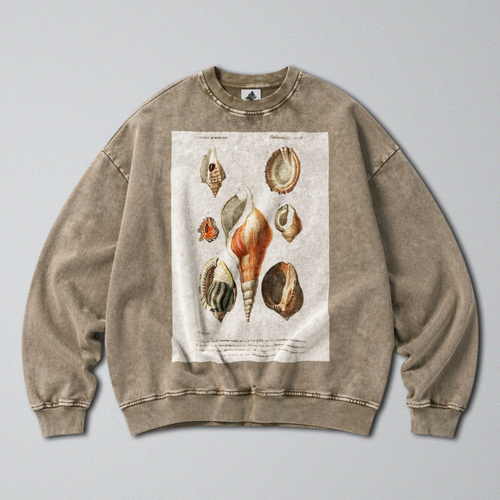 Oversized Snow Washed Cotton Sweatshirt - Seashells & Molluscs Print