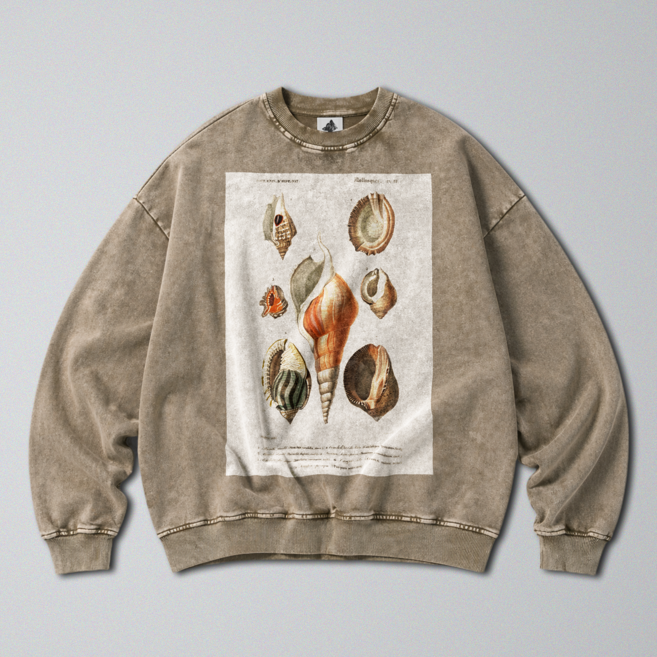 Oversized Snow Washed Cotton Sweatshirt - Seashells & Molluscs Print