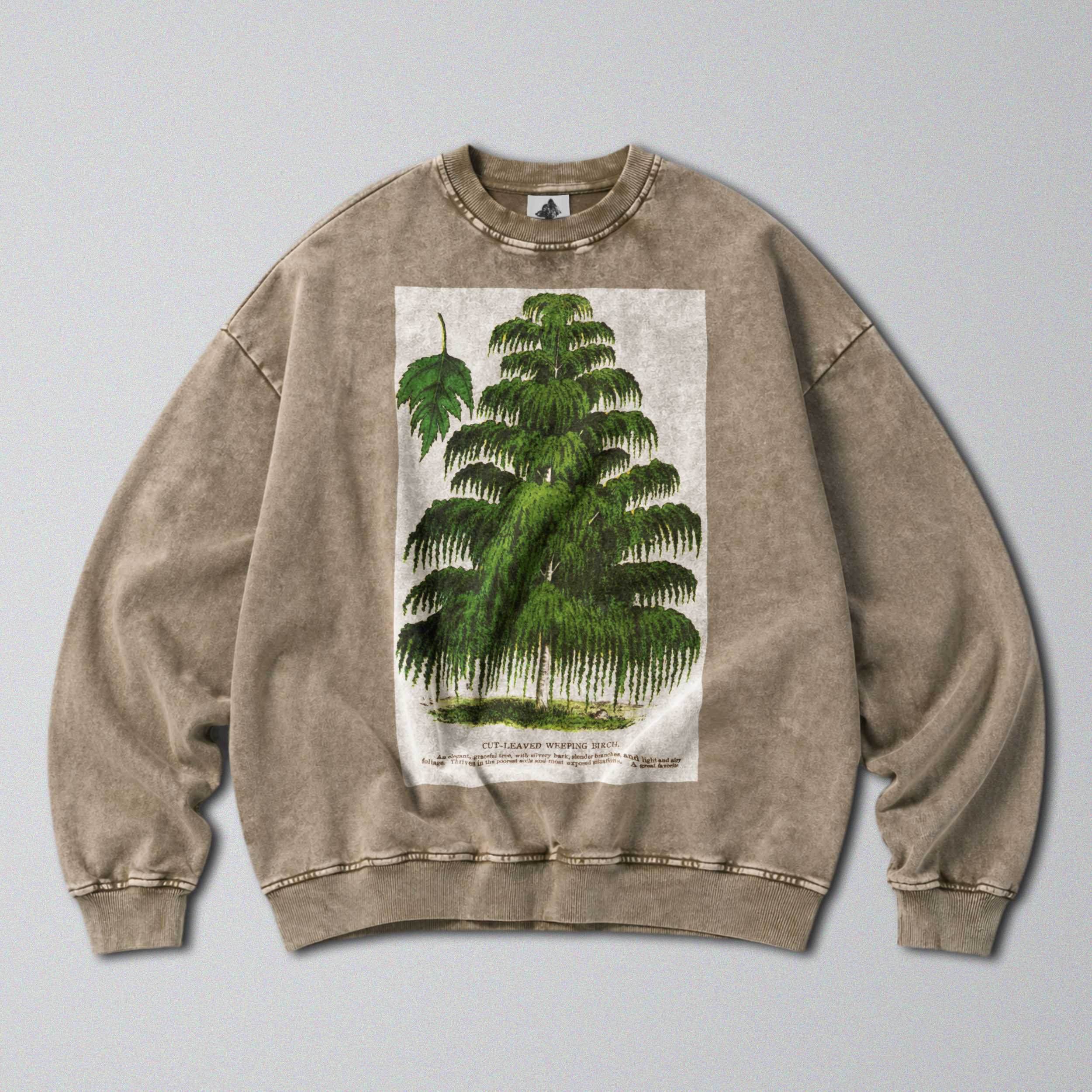 Oversized Snow Washed Cotton Sweatshirt - Weeping Birch Tree Print