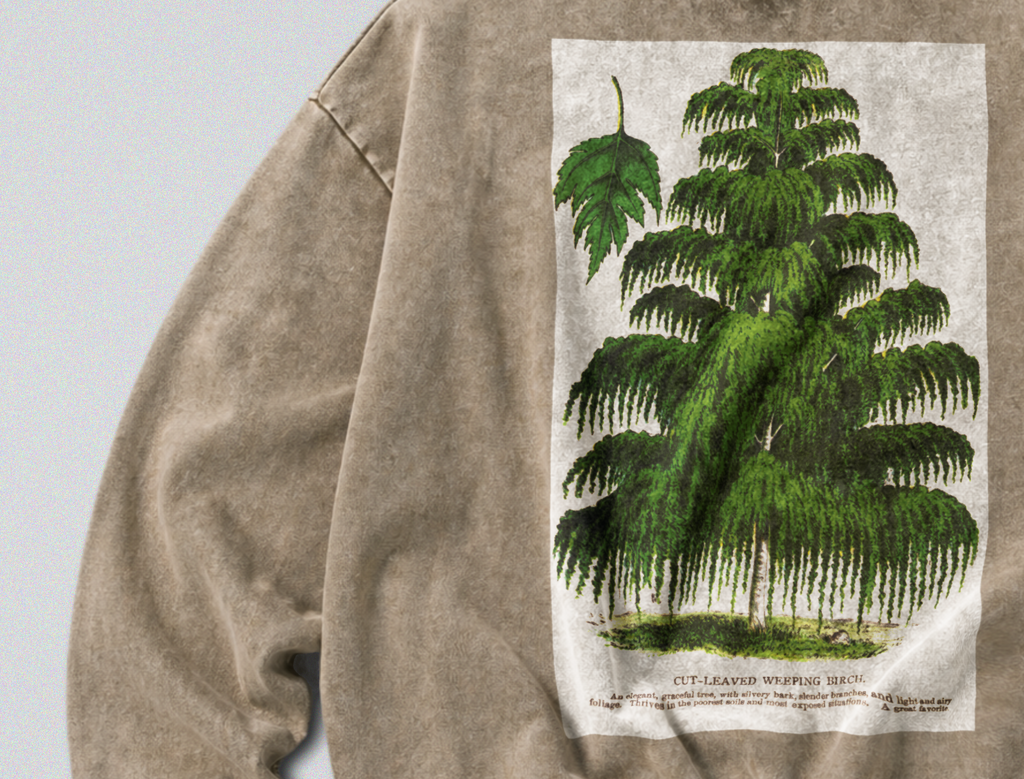 Oversized Snow Washed Cotton Sweatshirt - Weeping Birch Tree Print
