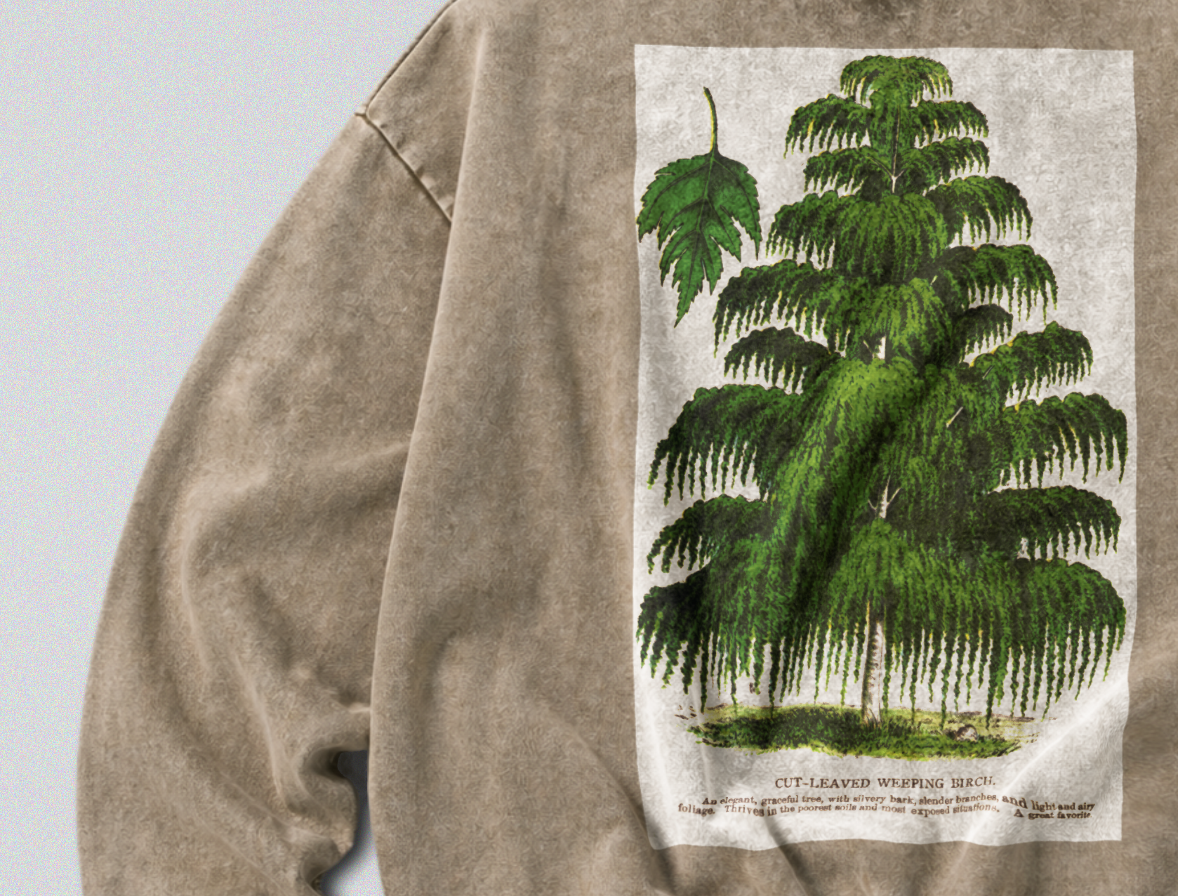 Oversized Snow Washed Cotton Sweatshirt - Weeping Birch Tree Print