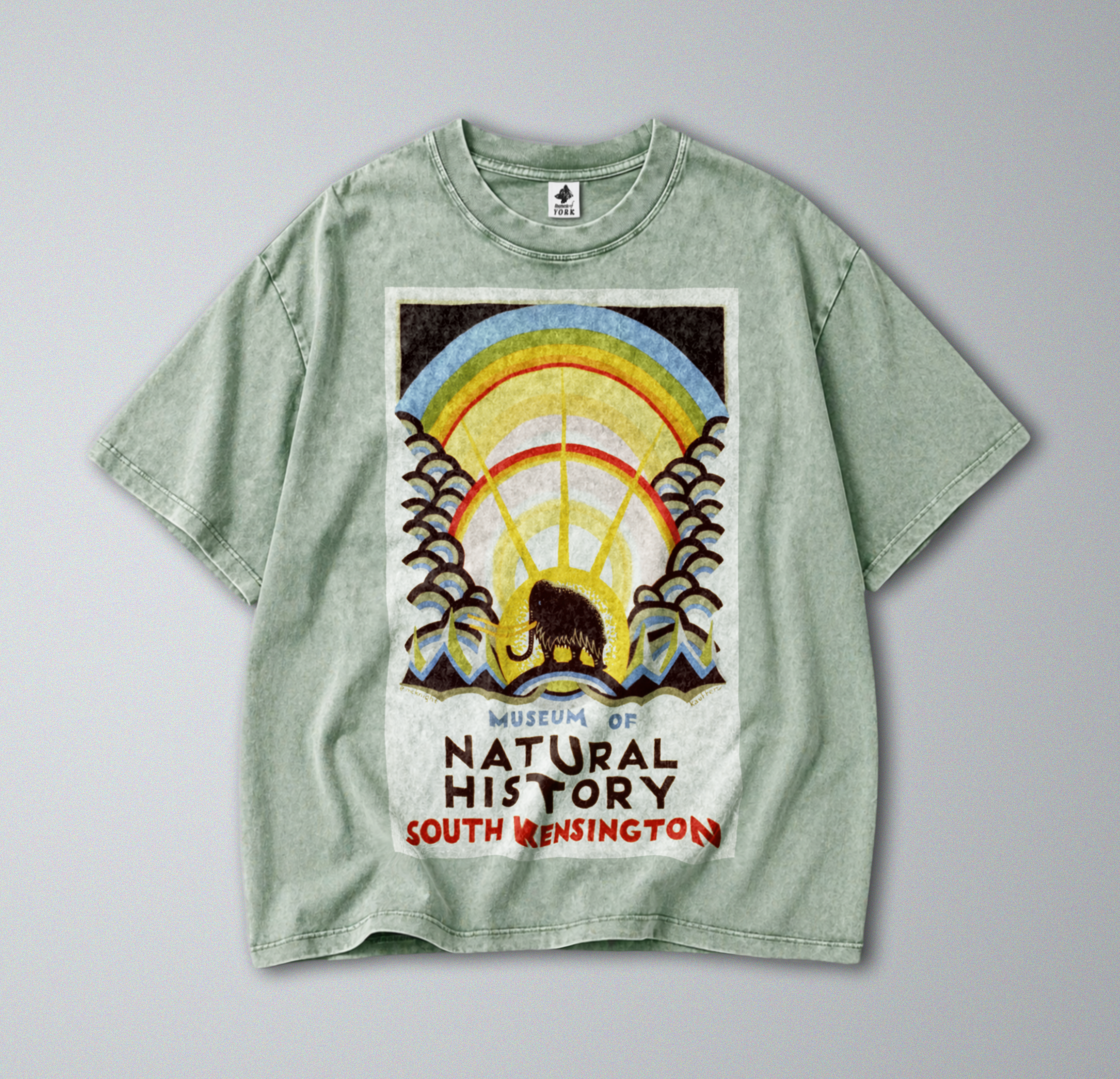 Oversized Snow Washed Cotton Tee - Museum of Natural History Print