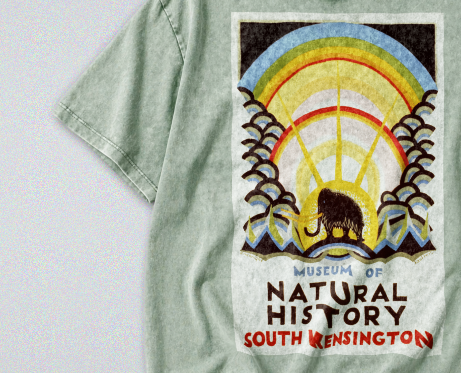 Oversized Snow Washed Cotton Tee - Museum of Natural History Print