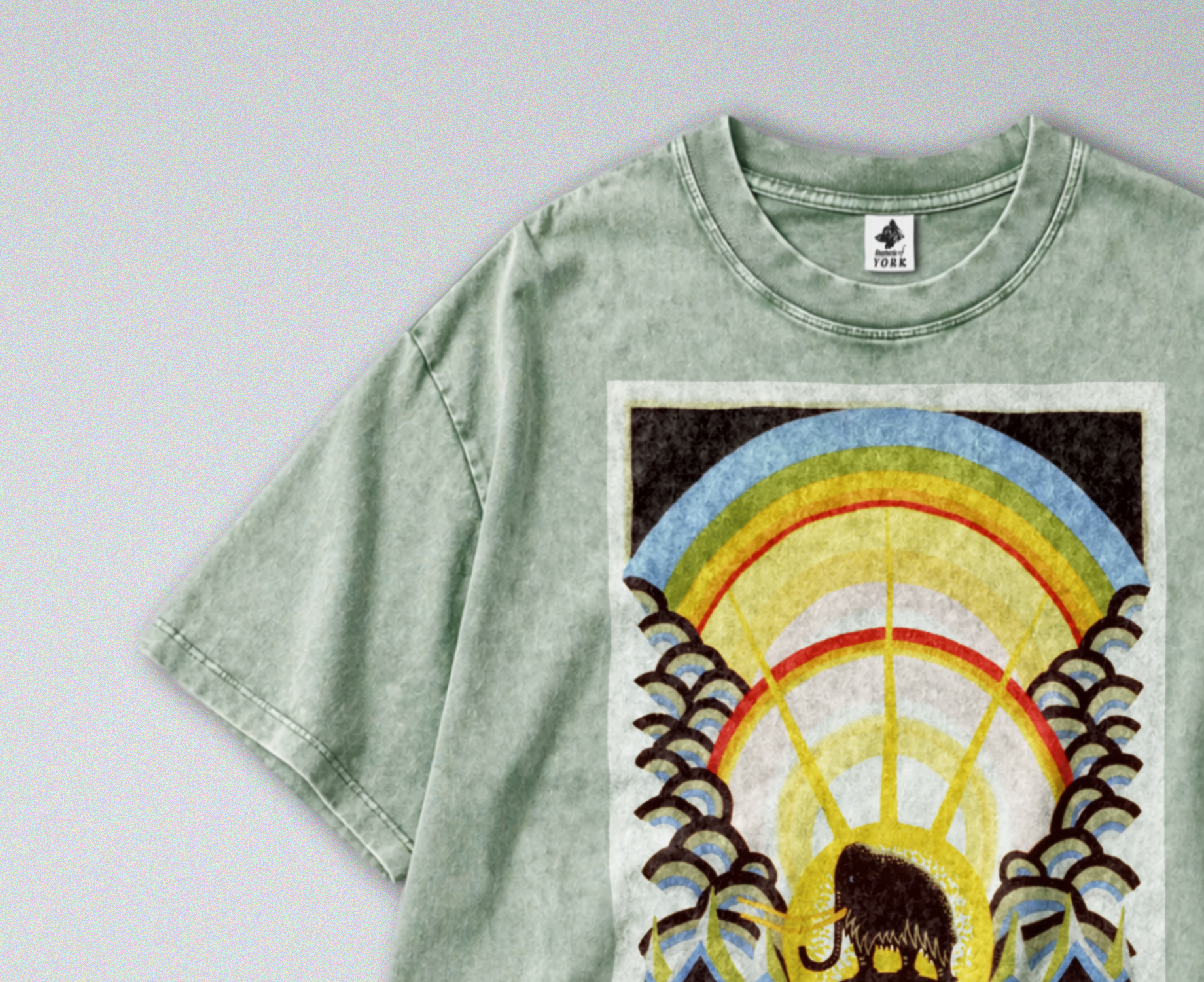 Oversized Snow Washed Cotton Tee - Museum of Natural History Print