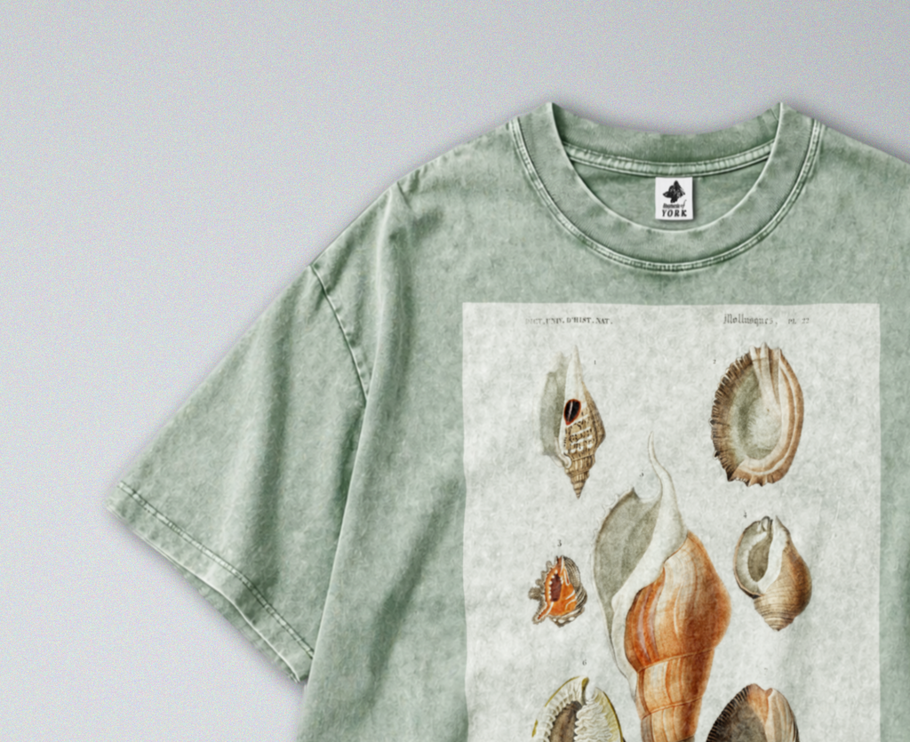 Seashells & Molluscs - Short Sleeve Tee