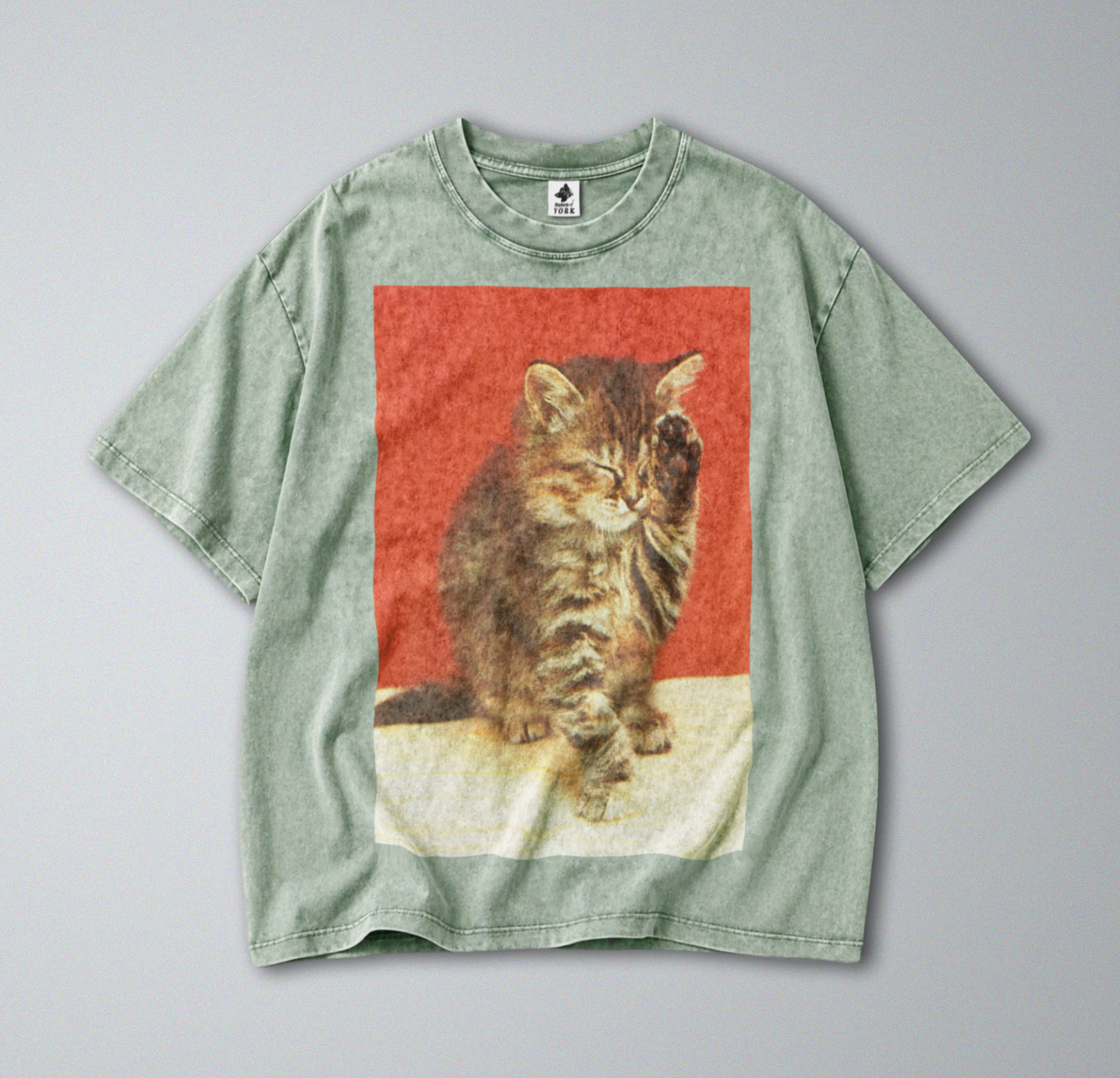 Oversized Snow Washed Cotton Tee - Cute Sleepy cat Print