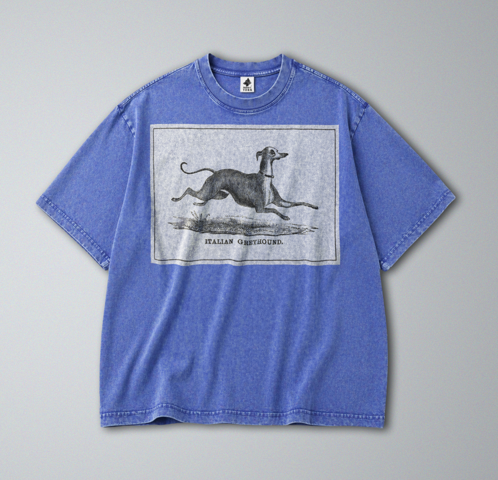 Italian Greyhound - Short Sleeve Tee