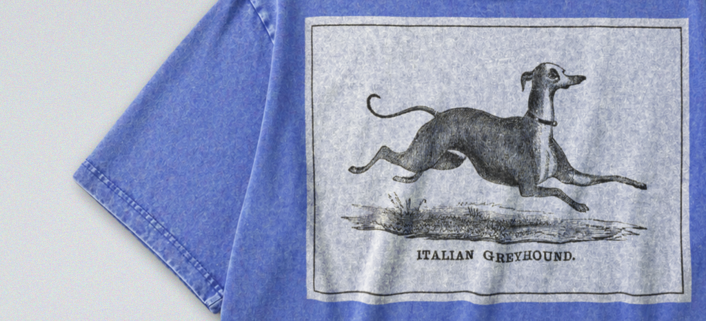 Italian Greyhound - Short Sleeve Tee