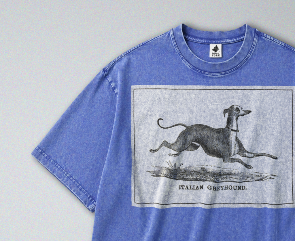 Italian Greyhound - Short Sleeve Tee