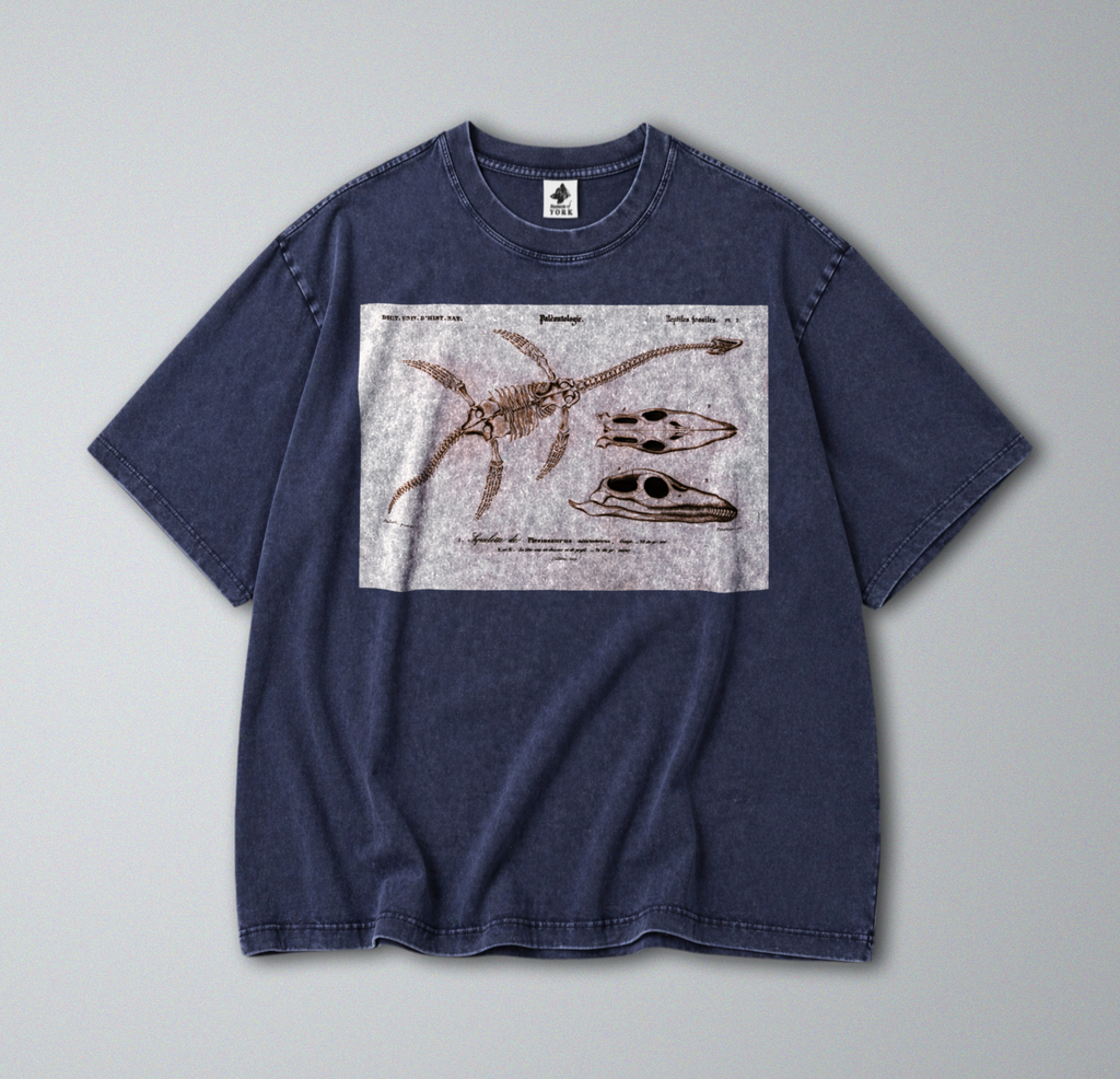 Plesiosaur Fossils - Short Sleeve Tee
