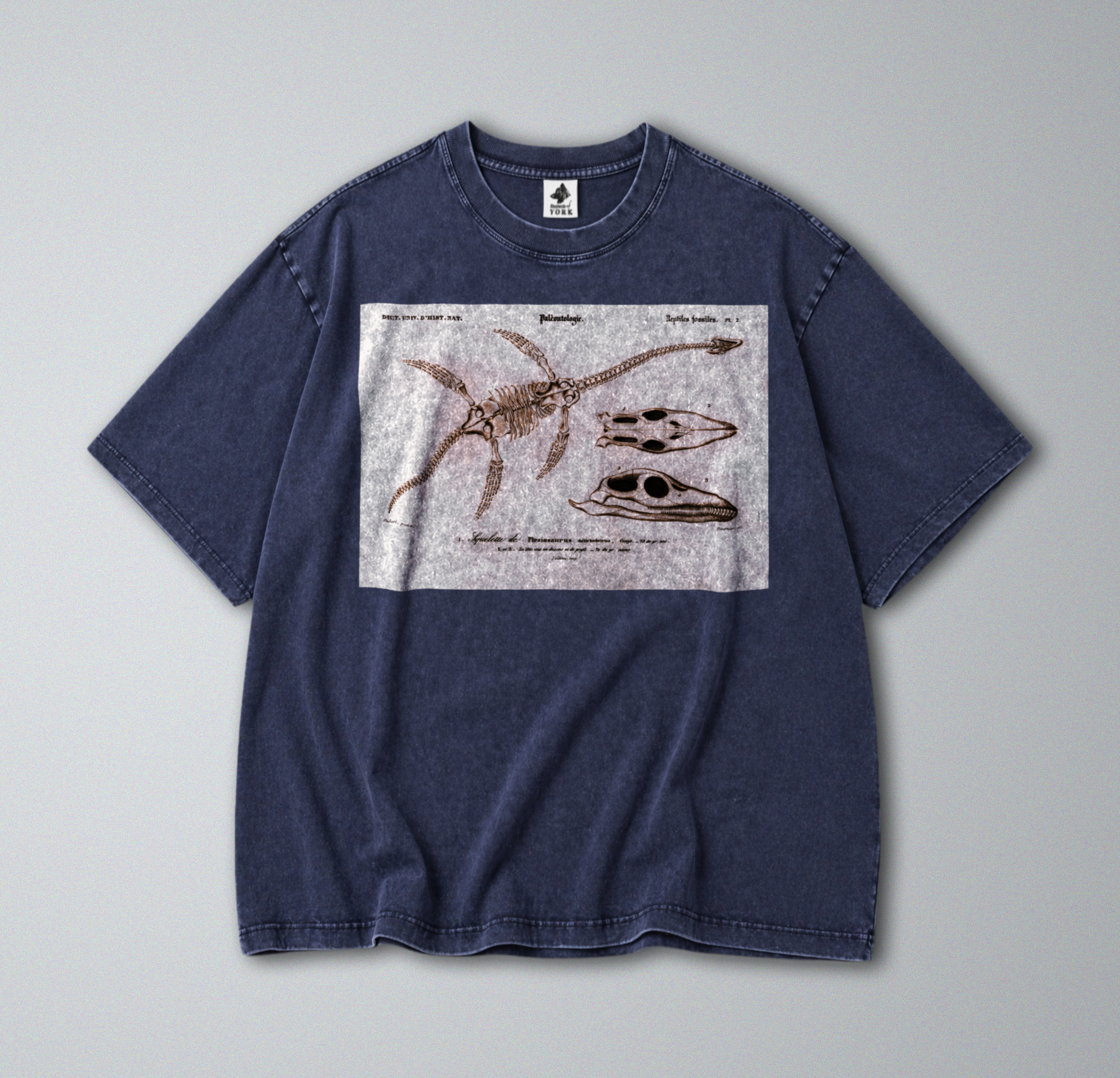 Oversized Snow Washed Cotton Tee - Plesiosaur Skeleton Fossil