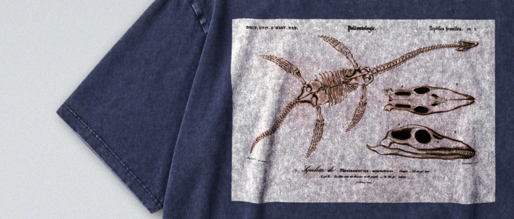 Plesiosaur Fossils - Short Sleeve Tee