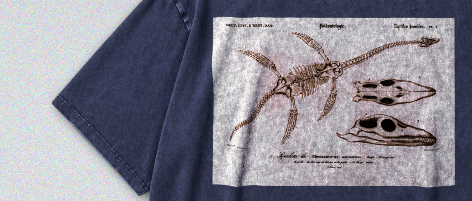 Oversized Snow Washed Cotton Tee - Plesiosaur Skeleton Fossil