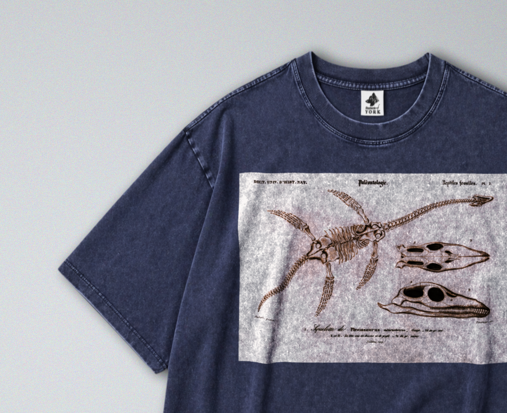Plesiosaur Fossils - Short Sleeve Tee