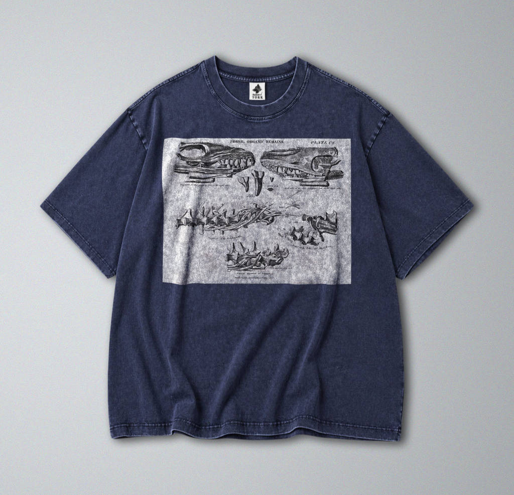 Mosasaurus Skull & Teeth - Short Sleeve Tee