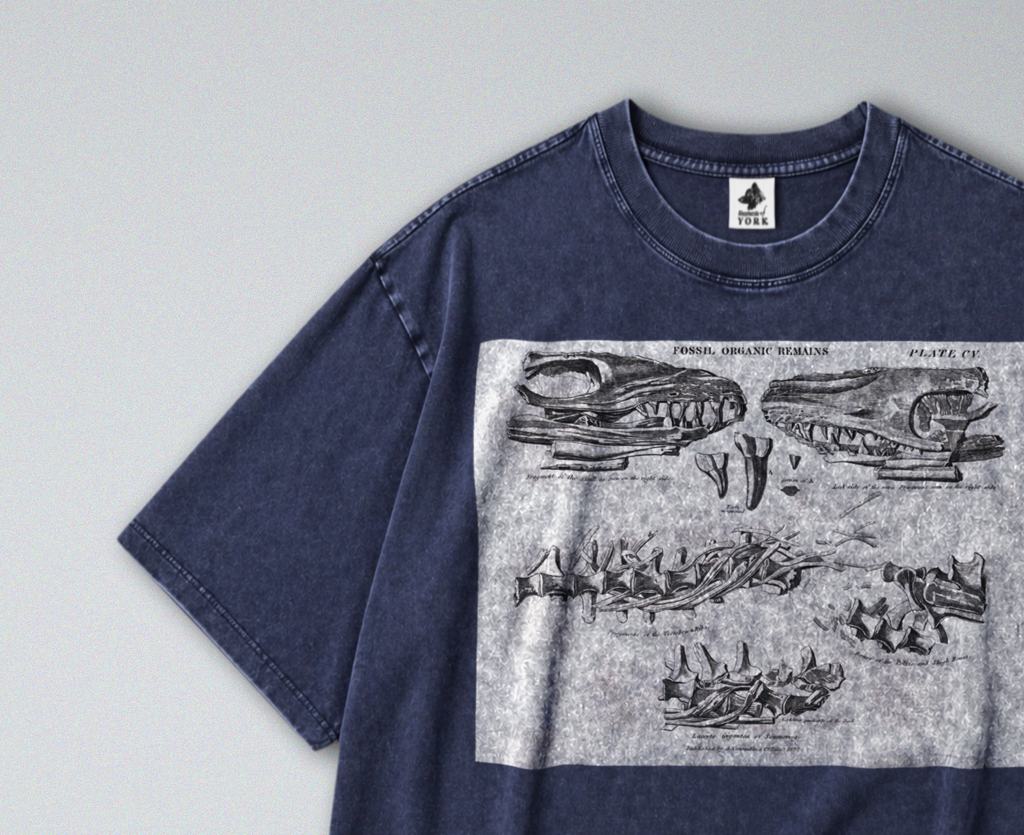 Mosasaurus Skull & Teeth - Short Sleeve Tee