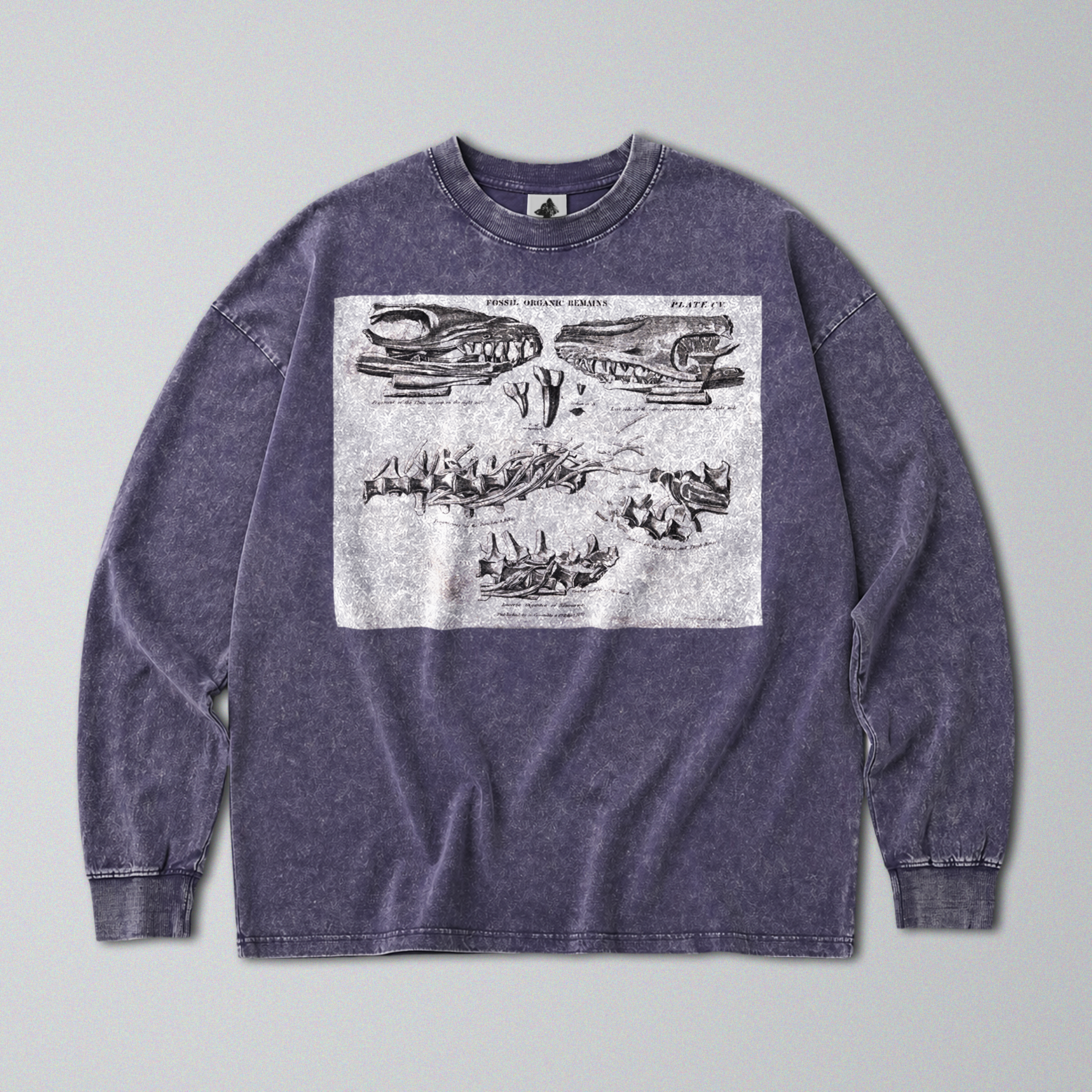 Oversized Snow Washed Long Sleeve Cotton Tee - Mosasaurus Skull Fossil Print