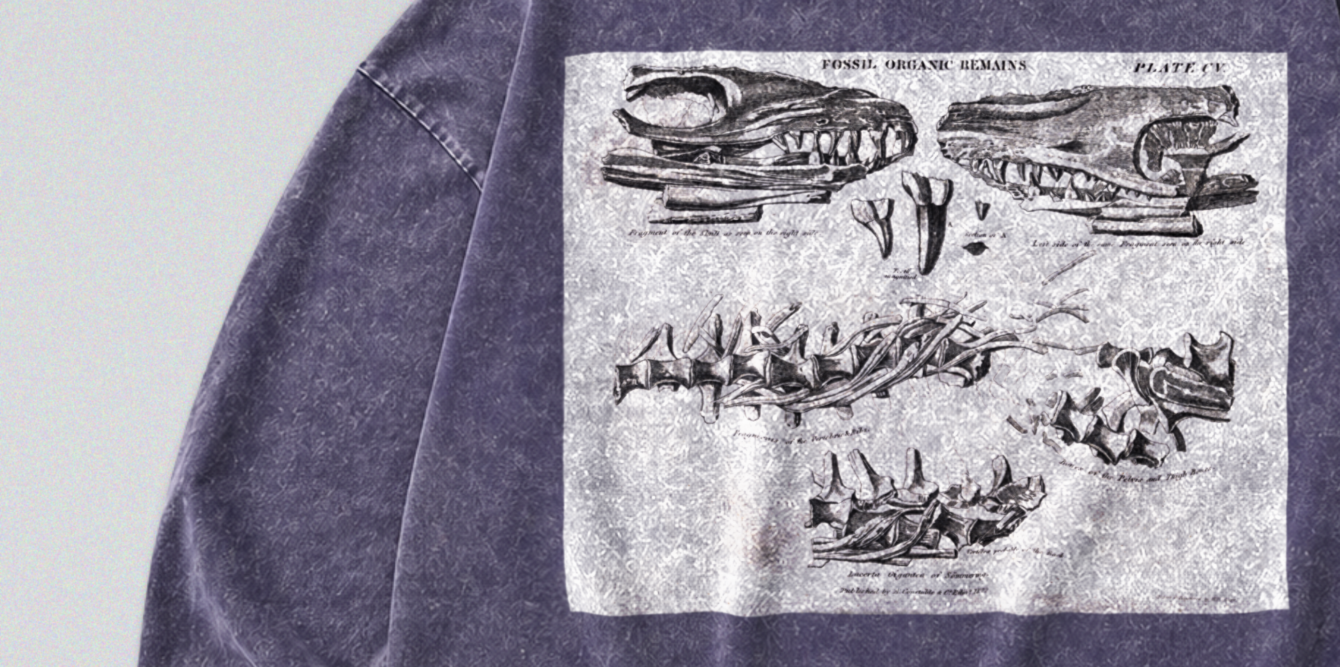Oversized Snow Washed Long Sleeve Cotton Tee - Mosasaurus Skull Fossil Print