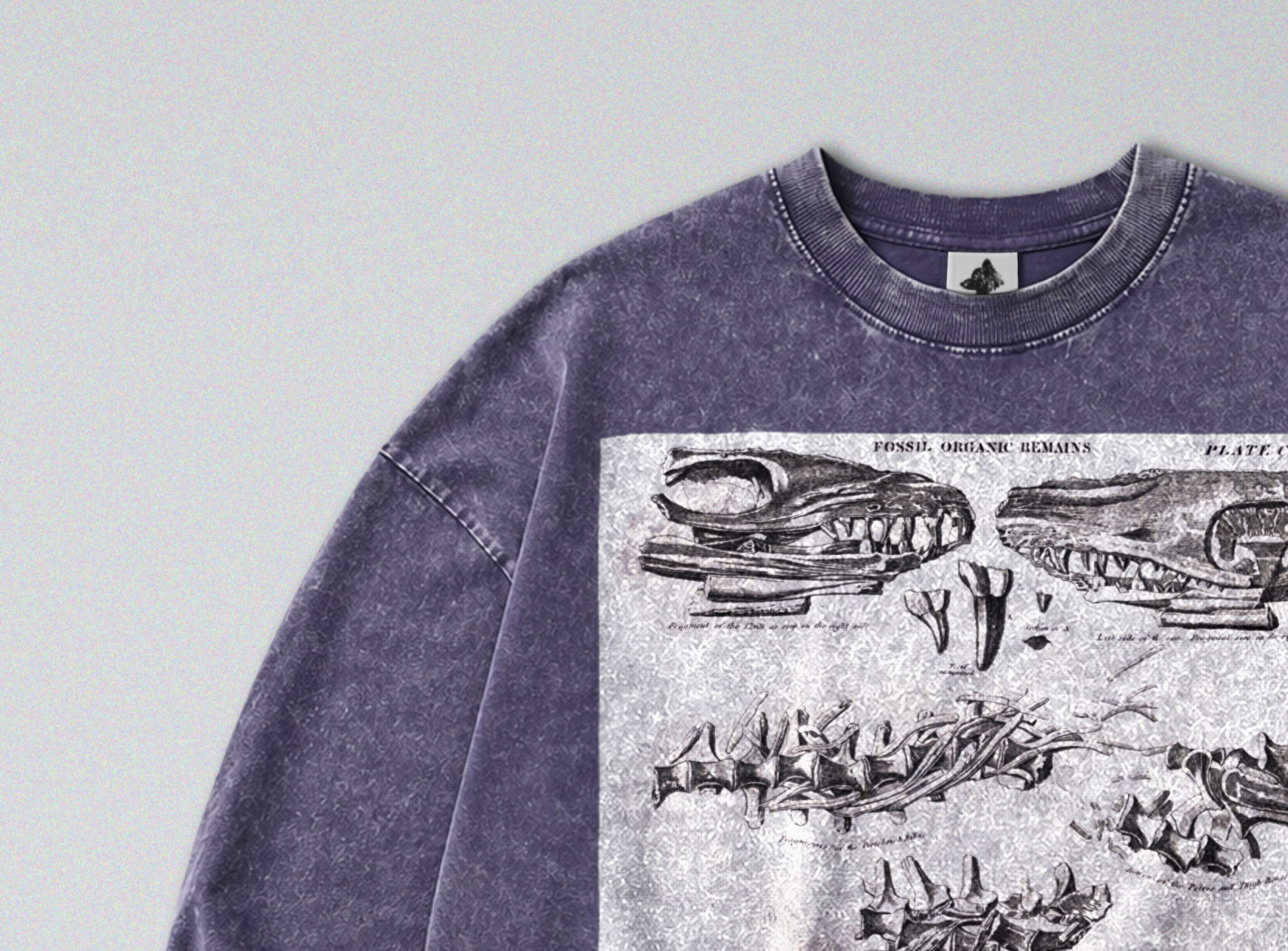 Oversized Snow Washed Long Sleeve Cotton Tee - Mosasaurus Skull Fossil Print