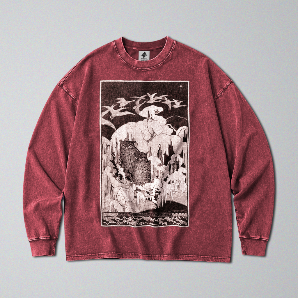 Oversized Snow Washed Long Sleeve Cotton Tee - Owls in Snow Print