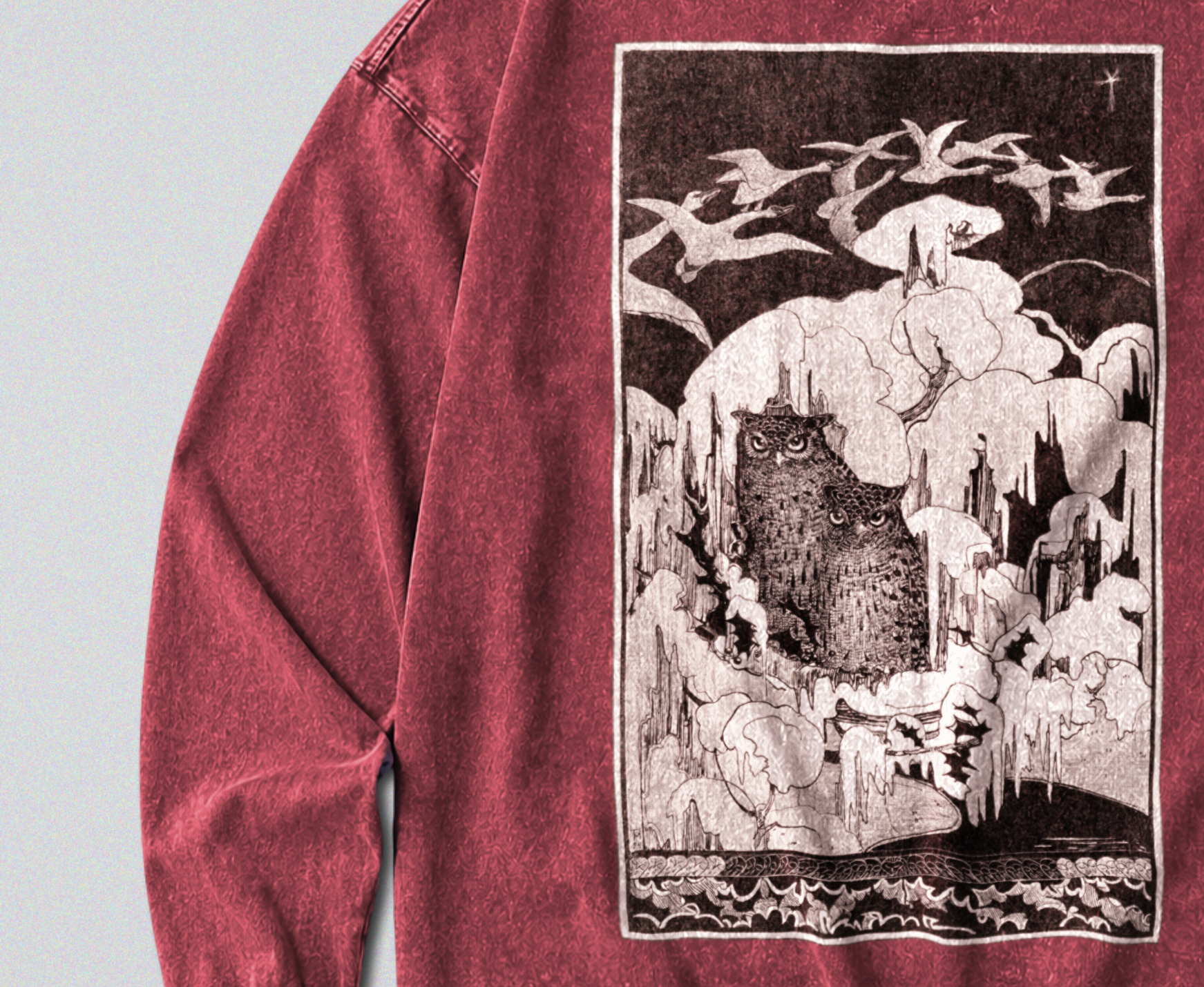Oversized Snow Washed Long Sleeve Cotton Tee - Owls in Snow Print