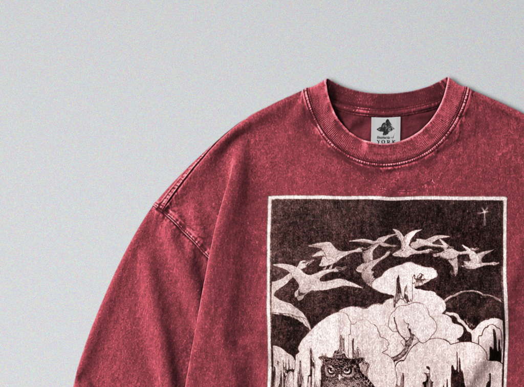 Oversized Snow Washed Long Sleeve Cotton Tee - Owls in Snow Print