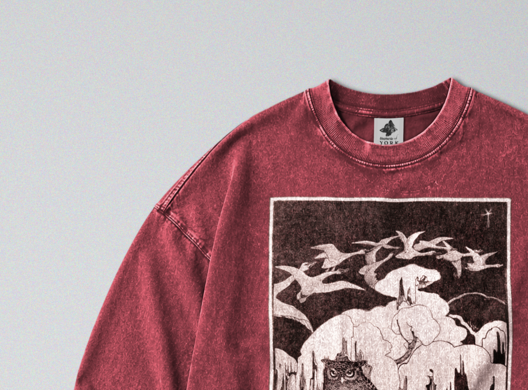 Oversized Snow Washed Long Sleeve Cotton Tee - Owls in Snow Print