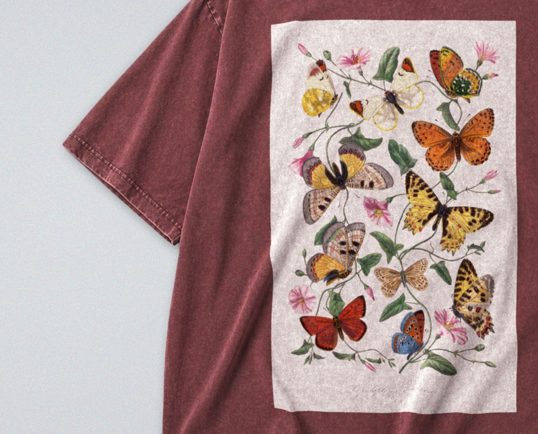 Oversized Snow Washed Cotton Tee - Whimsical Butterfly Print